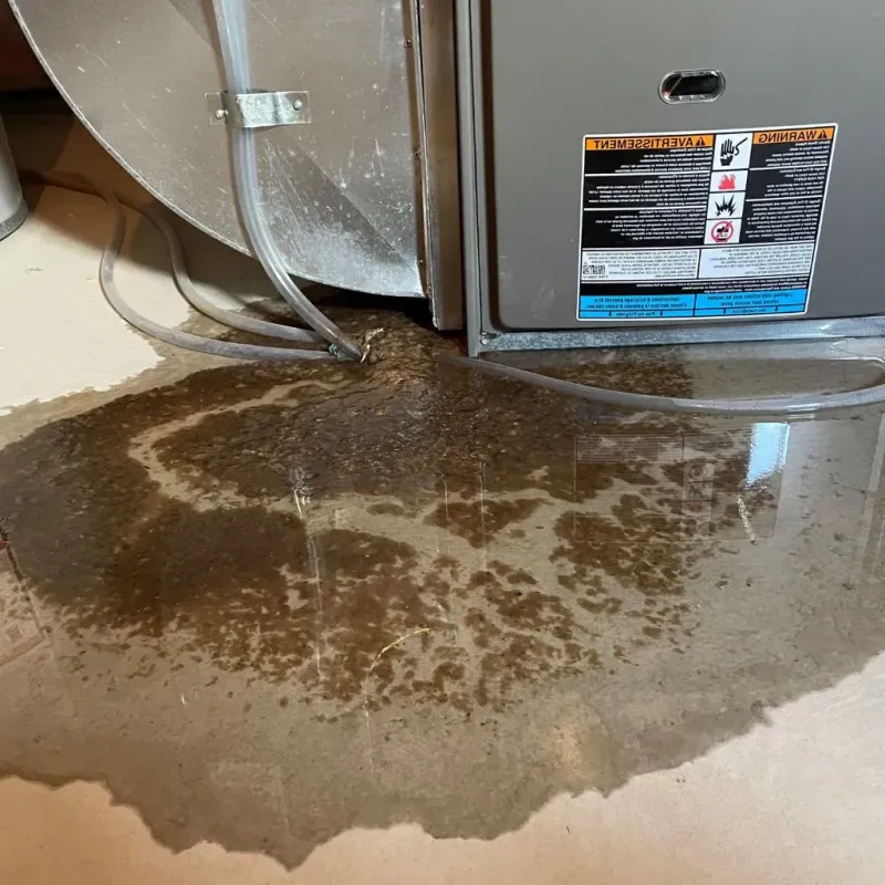 Pipe Burst and Leak Restoration in East Sahuarita, AZ